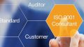 ISO 9001 consultant