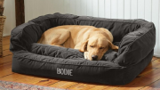 Buy Pet Bedding from PawsBowls