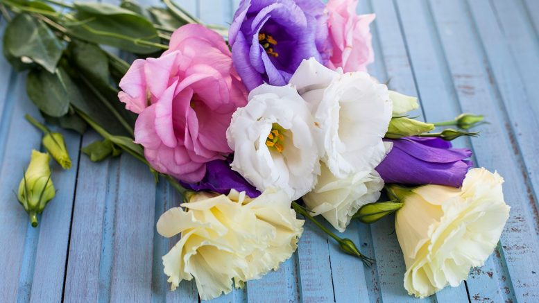 Special Occasions: Tips for Choosing the Perfect Flower Arrangement