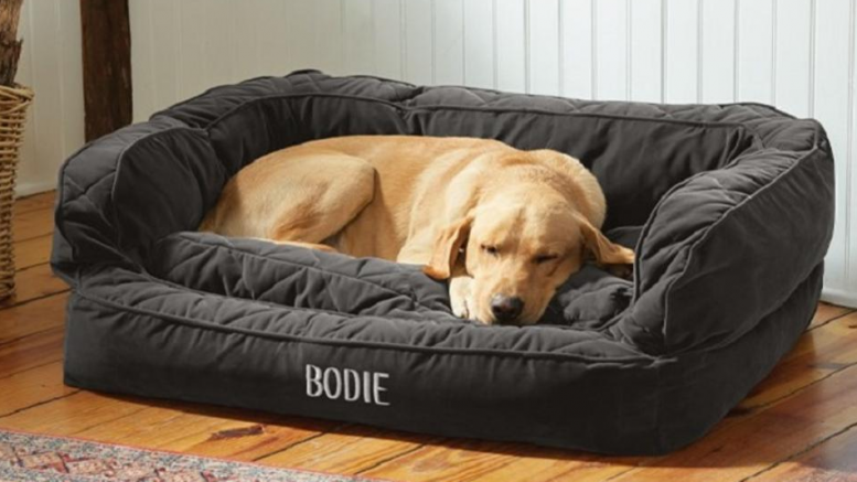 Buy Pet Bedding from PawsBowls