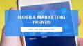 Mobile Marketing Strategy with Bulk SMS Service is the Business Trend Now
